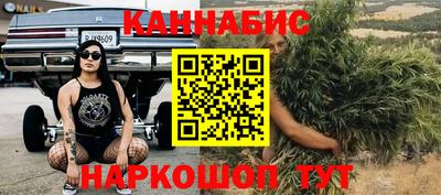 крисы Жуковский