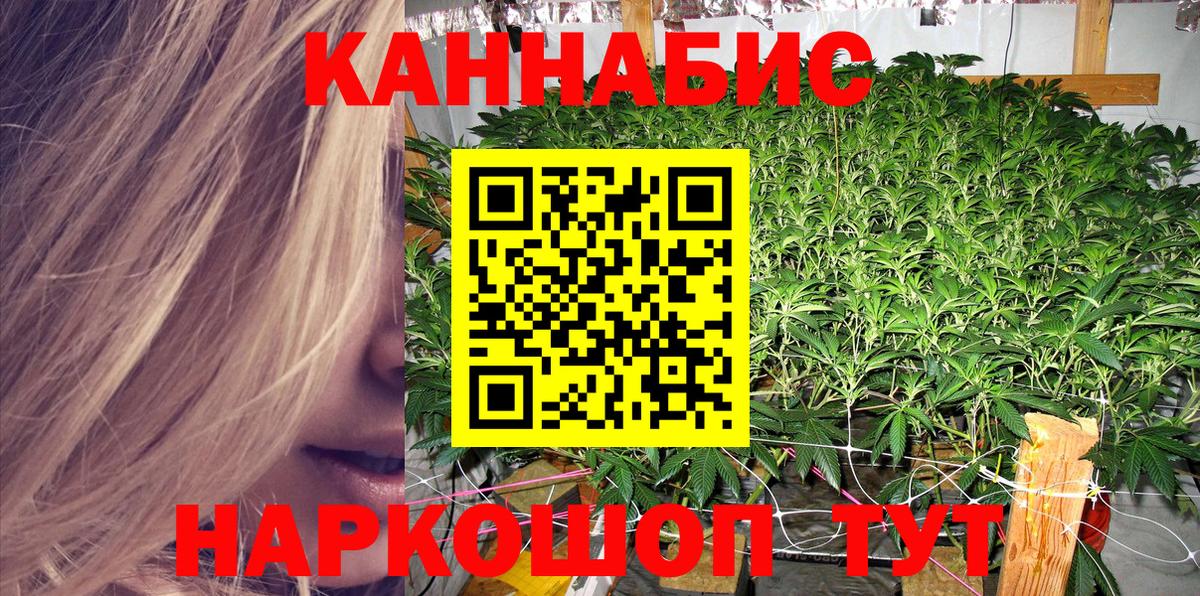 Камышин  Шишки марихуана тримм  Вход с VPN  Канабис марихуана  МАРИХУАНА тримм 